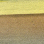 Two Poems from <em>Neutrøis</em>
